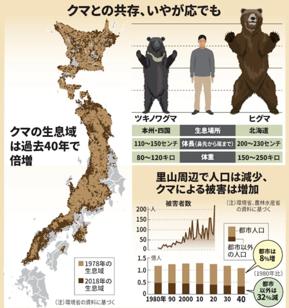 熊出没