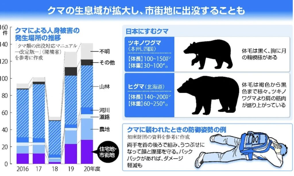 熊出没